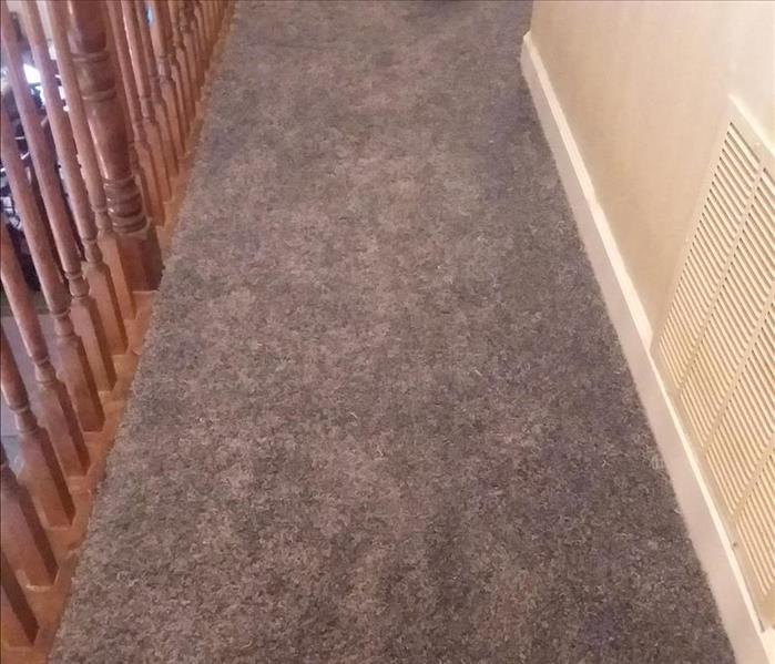 new blue ish Grey Plush Carpet hallway