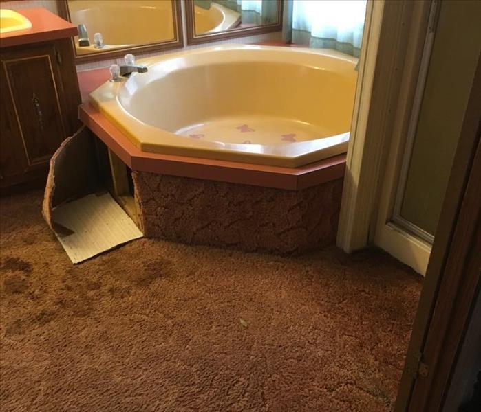 large pink jacuzzi tub with pink shag carpet and huge bay windows