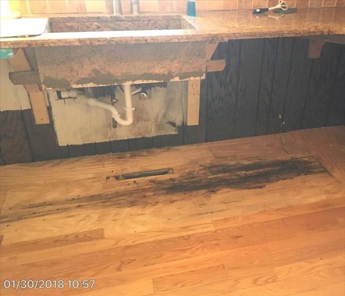 large black water damage and mold growth stain, underneath kitchen counters from a dishwasher door seal failure