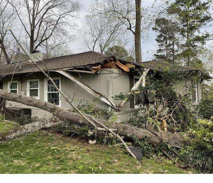 A house with a damage roof and a fallen tree in the front yard