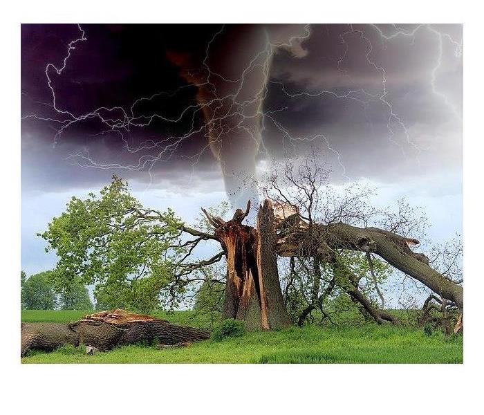 A picture of a tree damage from lighting with a tornado and lighting in the background