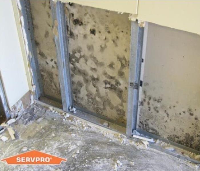 mold like growth occurring inside drywall compartment